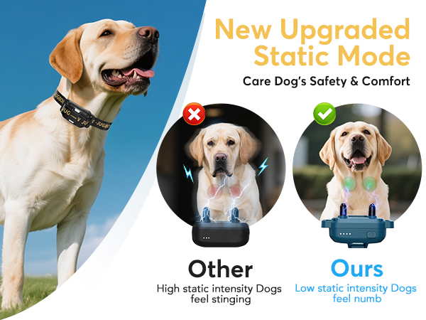 shock collar for dogs