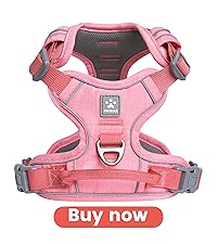 https://m.media-amazon.com/images/S/aplus-media-library-service-media/8ee6a4d9-0a56-4514-b64f-b96256cc415d.__CR0,0,2000,2250_PT0_SX200_V1___.jpg