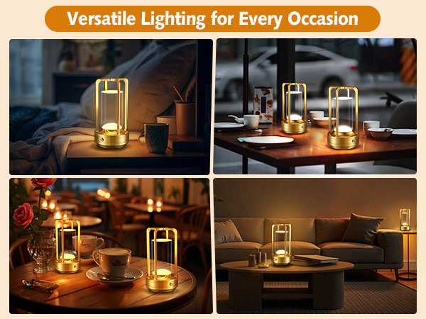 ce, bottles, dome, fireplace, stuff, apartment, flickering, inch, brightest, dinner, bulbs