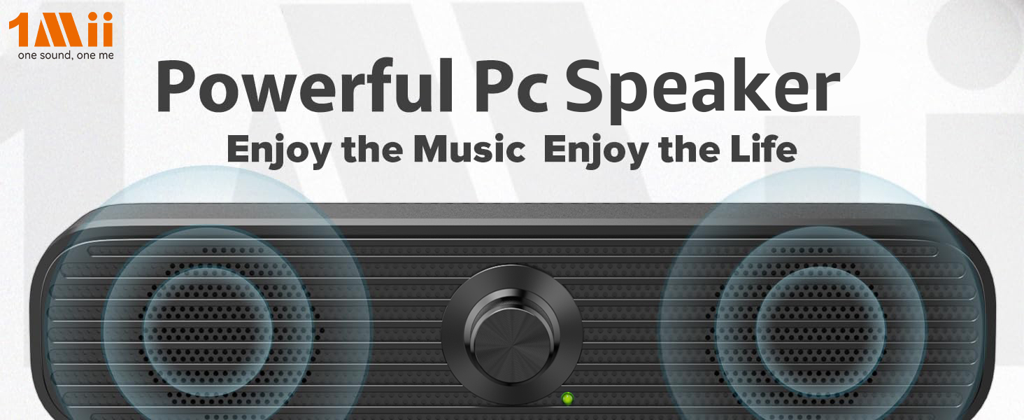 Computer Speakers