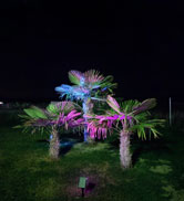 rgb solar spotlights