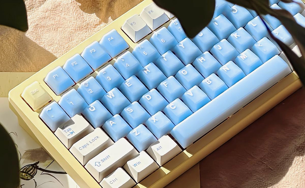 double shot keycaps