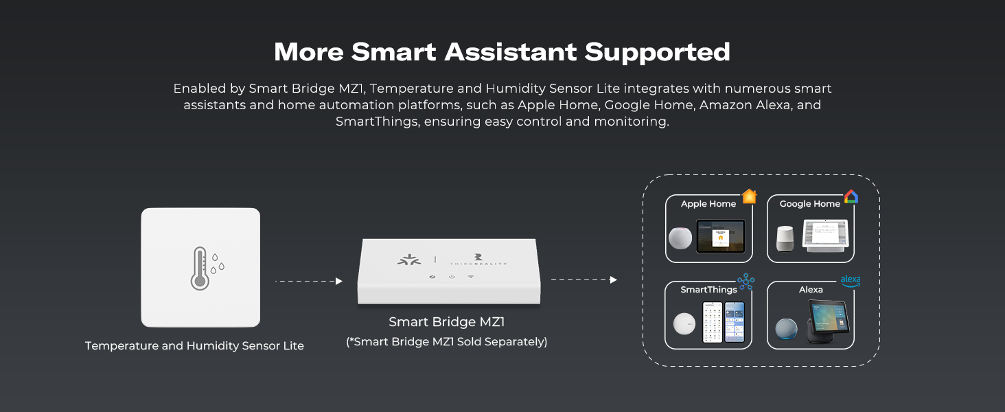 Temperature and Humidity Sensor Lite