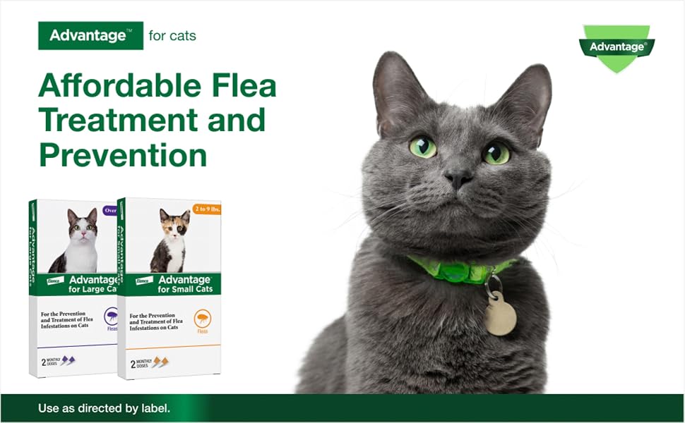 Advantage for cats is affordable flea treatment and prevention.