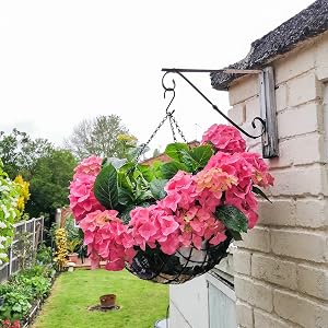 s hooks for hanging plants