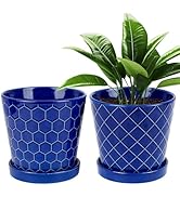 BUYMAX Plant Pots Indoor –6 inch Ceramic Flower Pot with Drainage Hole and Ceramic Tray - Gardeni...