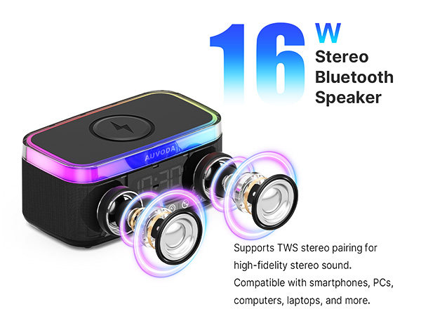 Portable Speaker