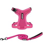 Voyager Step-in Lock Adjustable Cat Harness w. Cat Leash Combo Set with Neoprene Handle 5ft - Sup...