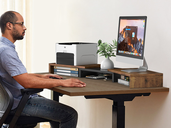 Desktop Riser