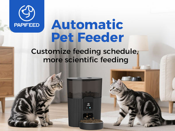 cat feeder