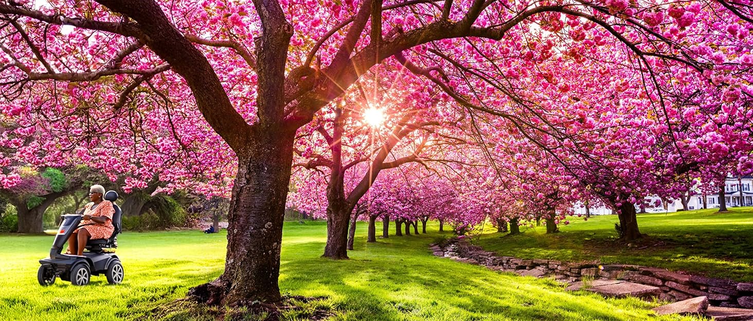 A woman enjoys her mobility scooter, riding through the grass under some beautiful pink cherry trees