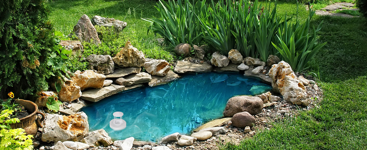 pond decoration
