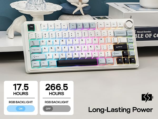 75% Wireless Gaming Keyboard