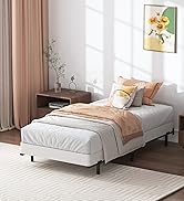 twin box spring