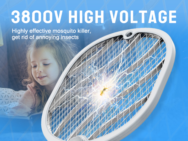 Electric Fly Swatter