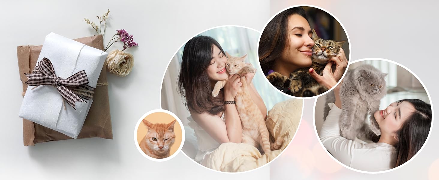Collage of images featuring cats and people. Includes a wrapped gift, flowers, and circular photos of individuals holding or interacting with cats.