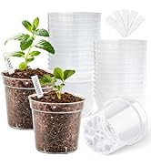 4 Inch Clear Nursery Pots for Plants, Plastic Plant Pot with Drainage Holes, Sturdy Seed Starter ...