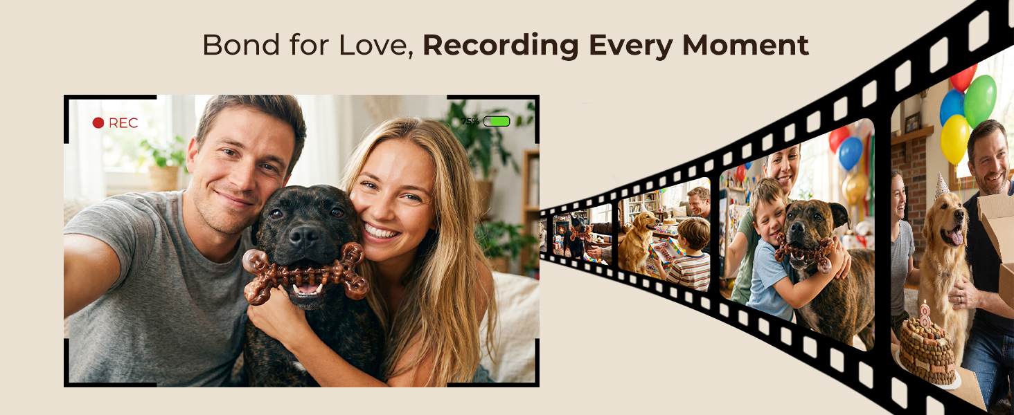 Accompany You & Your Dog Through Every Precious Moment