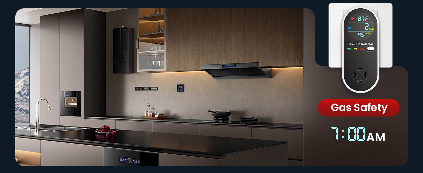 carbon monoxide detectors