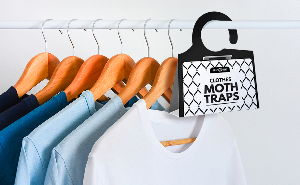 clothes moth traps