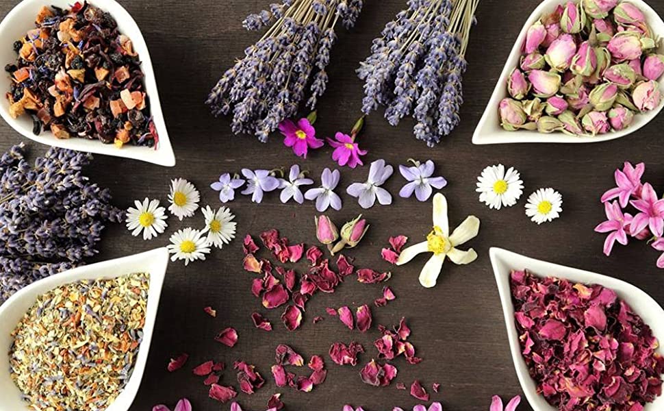 Looking for more Flowers and Herbs?