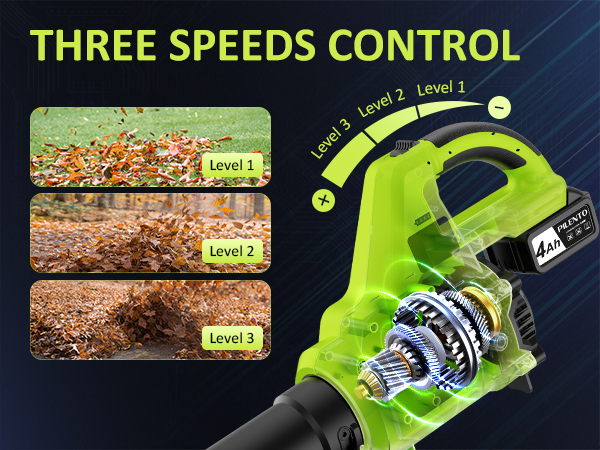 3 speeds