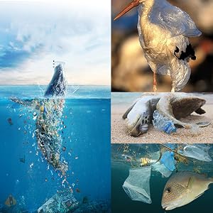 compostable trash bags