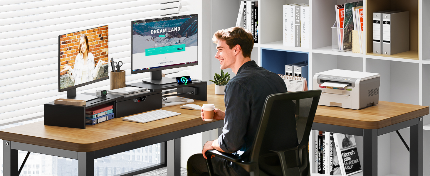 dual monitor stand for desk