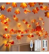 suddus 2Pack 18.6FT Lighted Fall Leaf Garland, USB&Battery Operated Remote | Total 40LED Fall Lea...