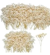 50Pcs Mini Dried Baby's Breath Flowers for Resin Art Craft DIY, 3000+ Natural Ivory White Bulk Fl...