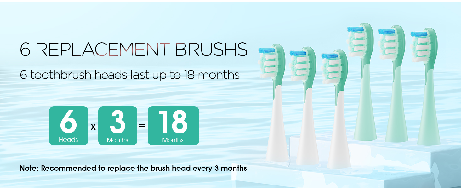 6 Replacement Brush