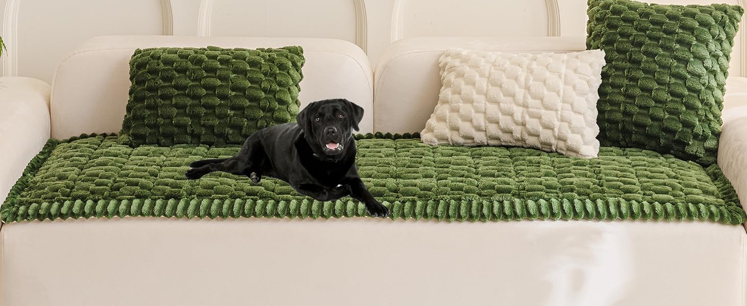 Green Couch Cover