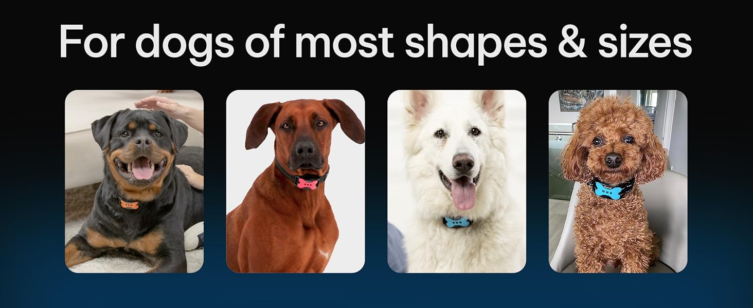 DogRook Bark Collar - For dogs of most shapes & sizes