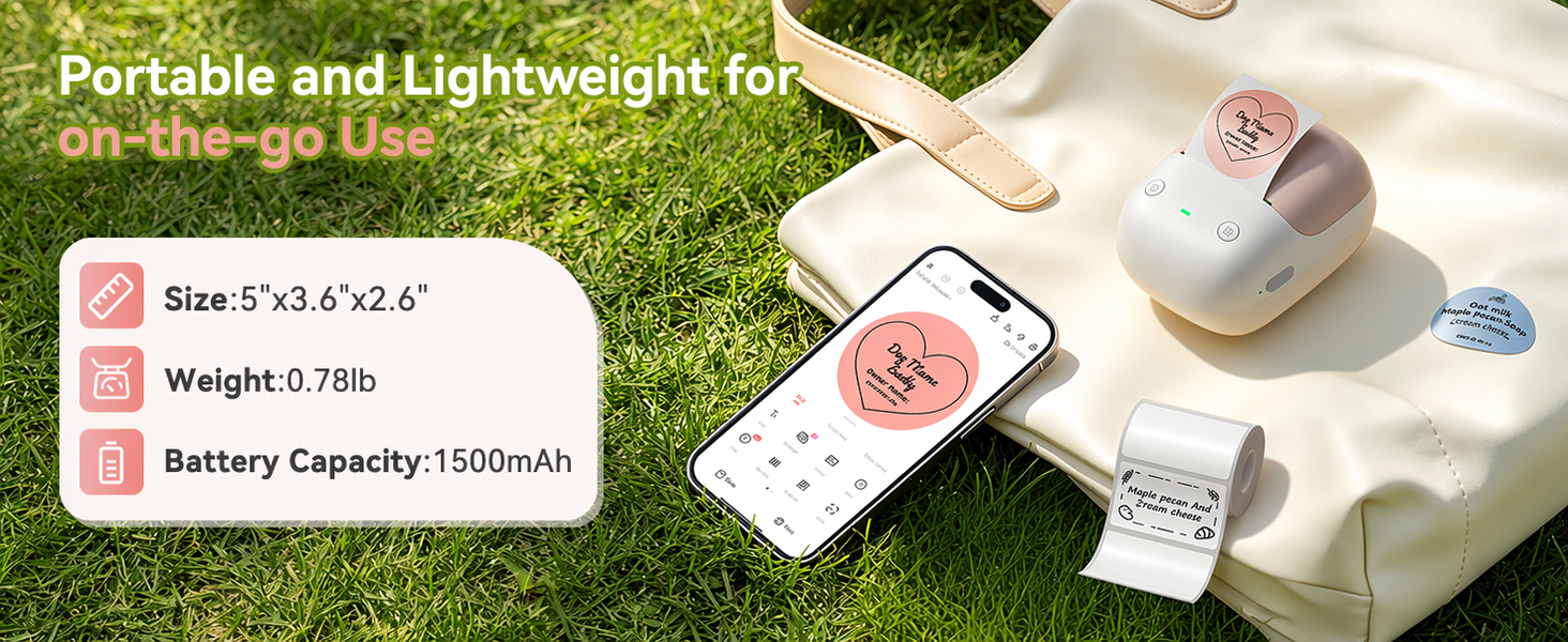 NIIMBOT B2 Portable Label Maker