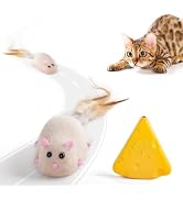 ALL FOR PAWS Remote Control Cat Mouse Toy, Interactive Moving Mouse Toy for Kitten Indoor Cats, 4...