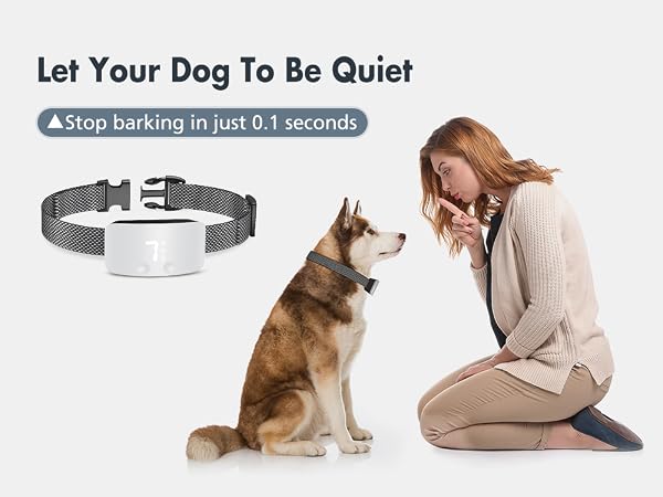 anti bark collar