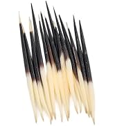 Labriciyon 10Pcs Black Porcupine Quills Hair Stick Indian Crafts Accessories Fishing Buoy DIY Sew...