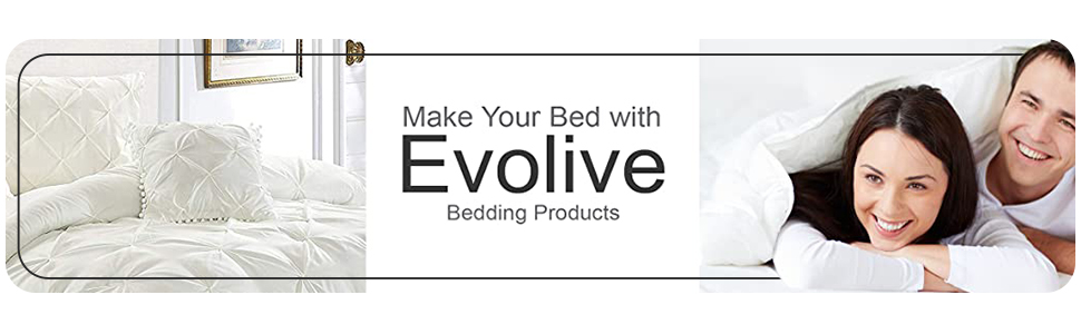 evolive banner logo