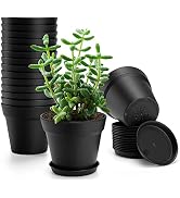 FHWTY 16 Pack Plastic Plant Pots with Drainage Holes and Tray, 4 inch Thickened Indoor Planters S...
