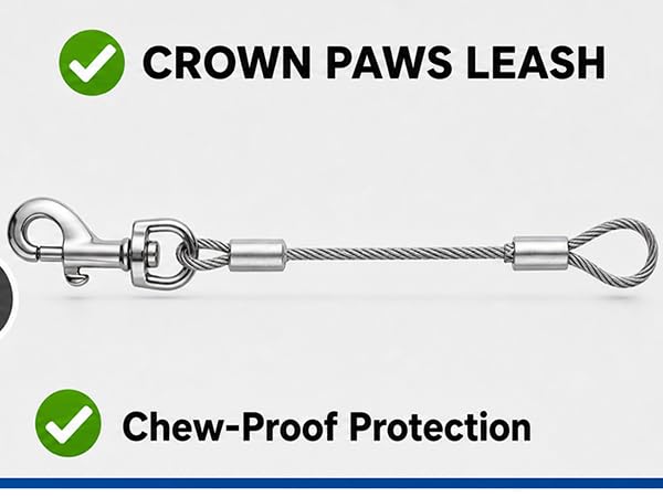 Structure Comparison Chew Proof Protection