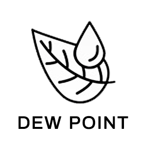 DEW