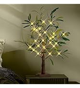 CAMANTU Lighted Olive Tree with Timer, 25IN 42 Led Bonsai Tree Light, Battery & USB Powered Tree ...