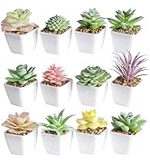 Tiita Artificial Faux Succulents in Pots Fake Plants Ceramic Arrangement Planter Small Mini Tiny ...