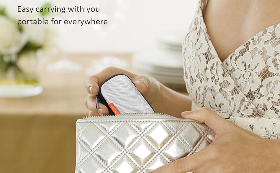 carrying case pouch