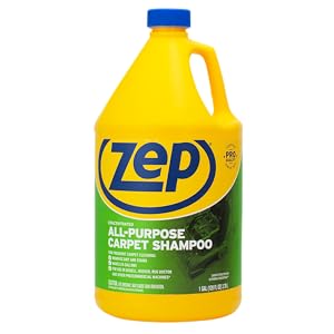 carpet cleaner