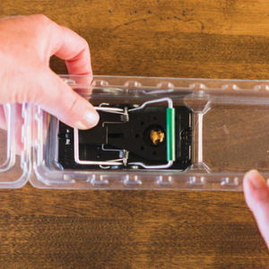 Set trap. Easy to set trap. Trap enclosed in the DoomBox. Push down bar trap is set.
