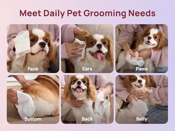 grooming wipes for pet