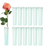 BEADNOVA Flower Water Tubes 2.8 Inch Plastic Water Tubes for Flowers Floral Vials with Caps for D...