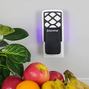 Dynatrap Indoor Fly Trap discreet design