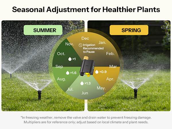Seasonal Adjustment for Healthier Plants